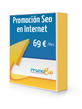 Promoción Seo en Internet